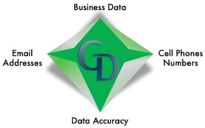 A green diamond with the words business data, data accuracy and data quality in it.